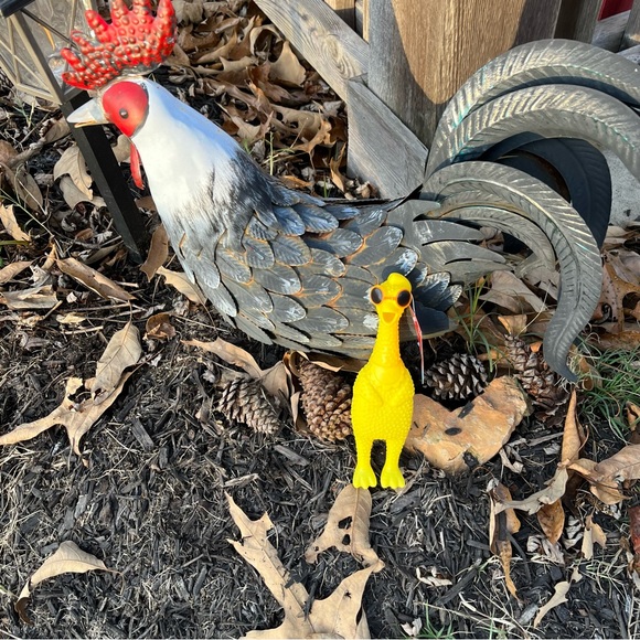 Funky Farm Squawking Chicken Mascot - NWT - Picture 8 of 10